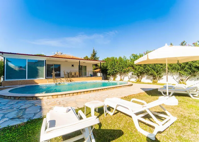 Sena فيلة داليان